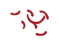 1xBET·Signup(中国区)-官方网站